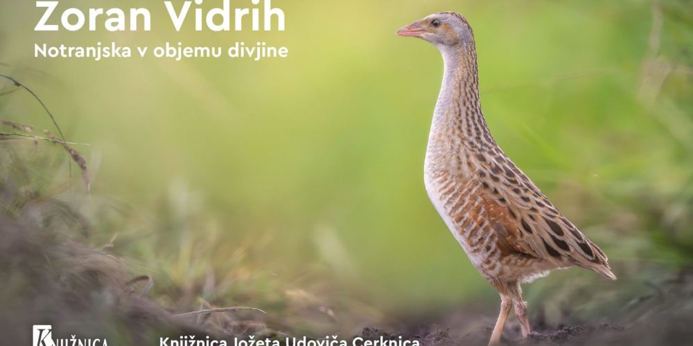 Maj 2025 – zbirnik dogodkov