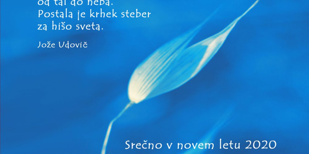 Srečno v novem letu